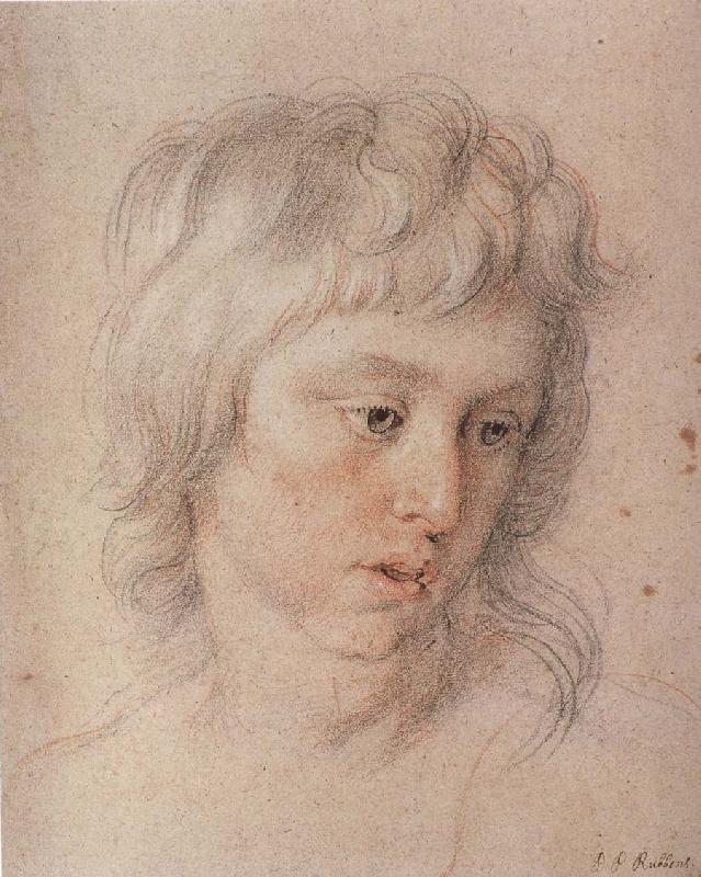 Peter Paul Rubens Baladi-s son oil painting image